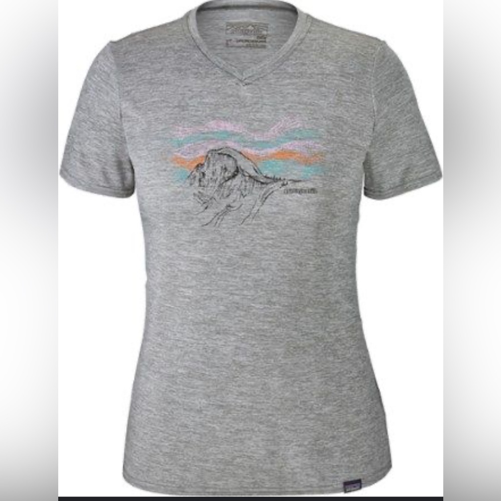 Patagonia Capilene Daily Graphic Base Layer Tee Medium